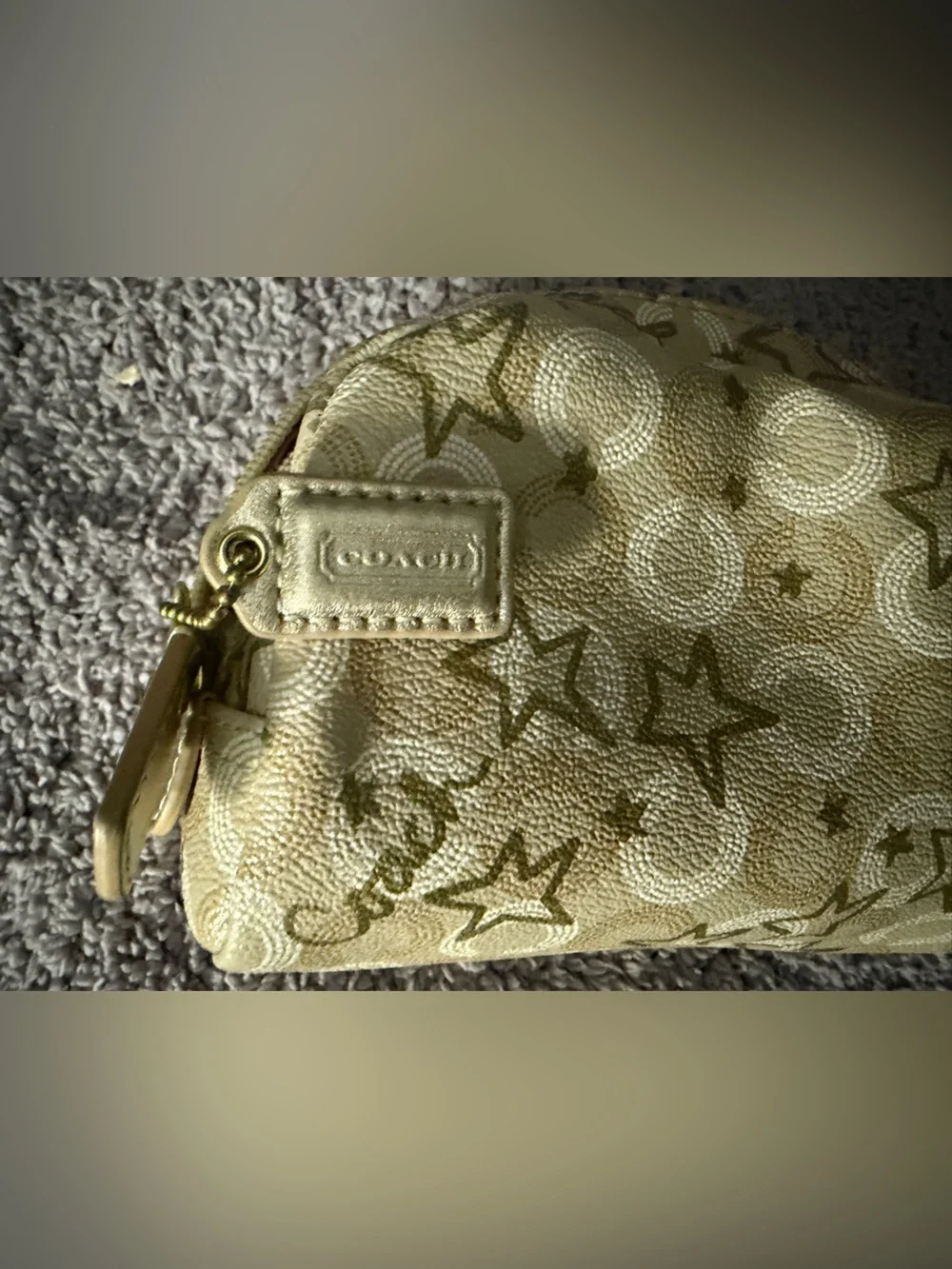 Vintage Coach Waverly Snow Queen Small Cosmetic Case (Style F48676)